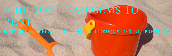 A hilton head gems to rent
(2 on ocean, 1 beachside, range 4 bedrooms to 8, all premier)

